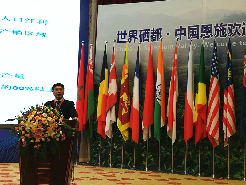 ӮVWINμ2017ʲҵ  Ŷ³ë