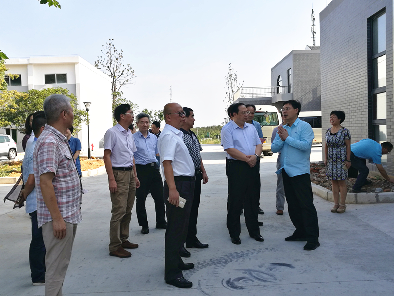 игһݰٵӮVWINֲĵຼҵ販԰Ŀ