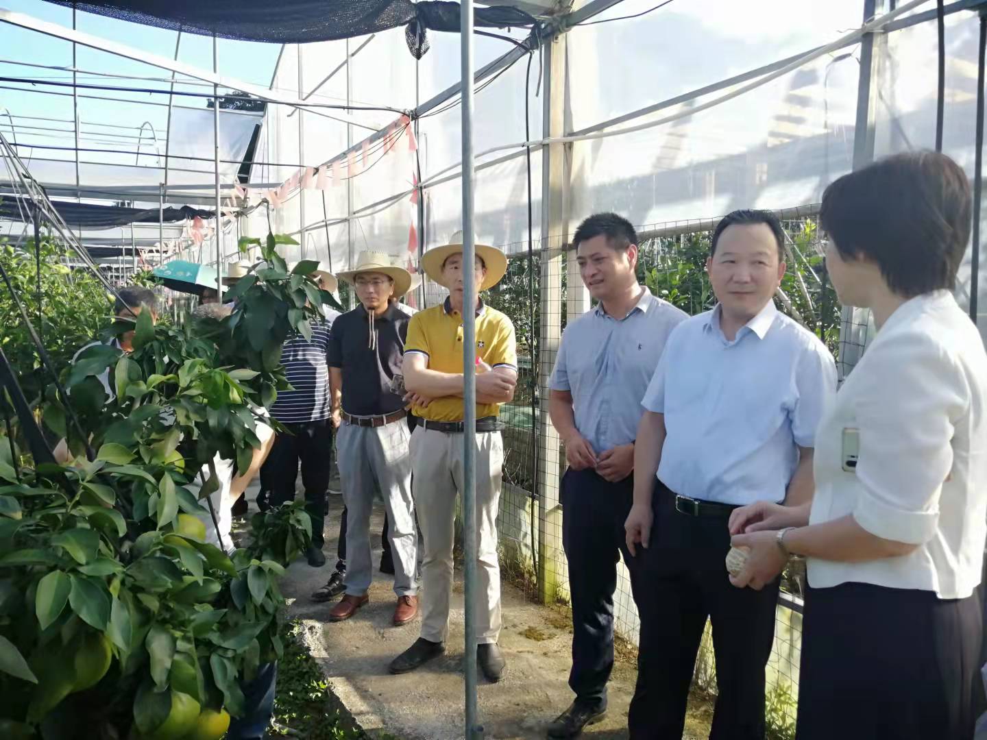 ʡЭũҵũһɽչ˫ǿжн