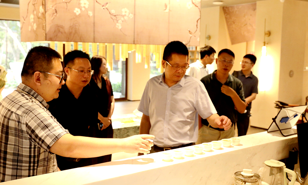 ˺ϼŶ³йӮVWINžл˾